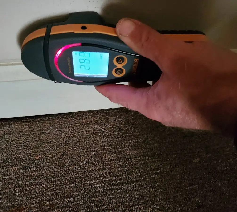 Moisture detection at baseboard during Mold Inspection & Testing in Red Bank